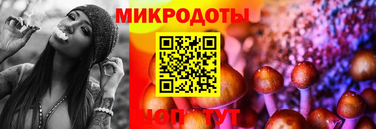 Псилоцибиновые грибы Psilocybe Похвистнево